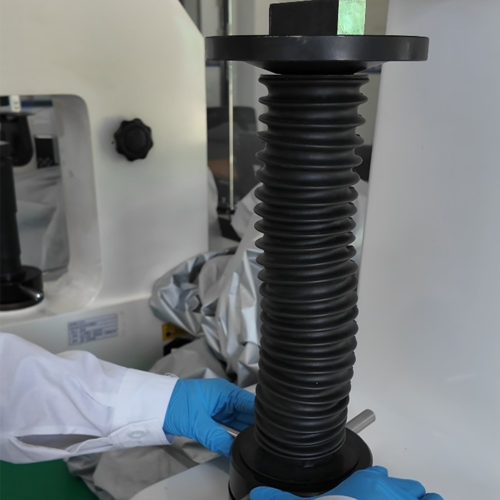NSPM Laboratory (4)